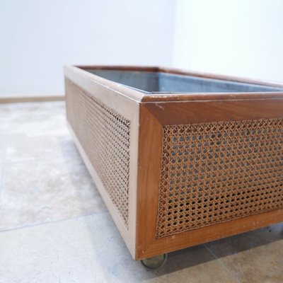 Mid-Century Rattan Indoor Planter, 1950s-JRP-623184