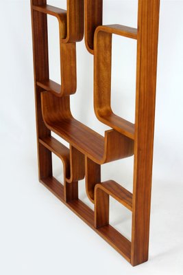 Mid-Century Room Divider attributed to Ludvik Volak for Drevopodnik Holesov, 1960s-WVS-1768477