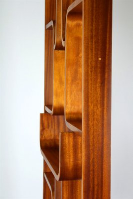 Mid-Century Room Divider attributed to Ludvik Volak for Drevopodnik Holesov, 1960s-WVS-1768477