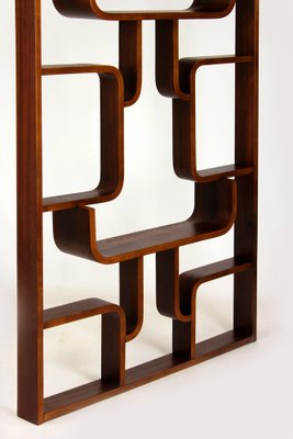 Mid-Century Room Divider attributed to Ludvik Volak for Drevopodnik Holesov, 1960s-WVS-1792362