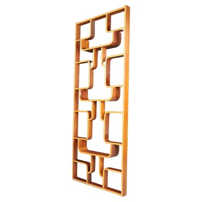 Mid-Century Room Divider by Ludvik Volak for Drevopodnik Holesov, 1960s-TRW-1750691