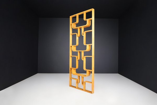 Mid-Century Room Divider by Ludvik Volak for Drevopodnik Holesov, 1960s-TRW-1750693