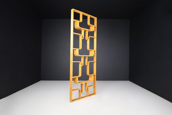 Mid-Century Room Divider by Ludvik Volak for Drevopodnik Holesov, 1960s-TRW-1750693