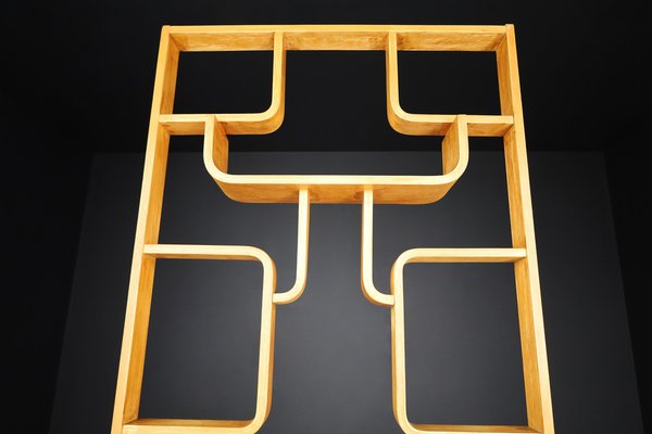 Mid-Century Room Divider by Ludvik Volak for Drevopodnik Holesov, 1960s-TRW-1750693