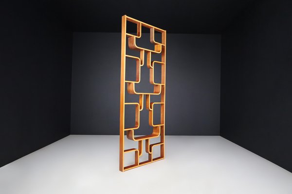 Mid-Century Room Divider by Ludvik Volak for Drevopodnik Holesov, 1960s-TRW-1750691