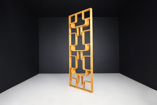 Mid-Century Room Divider by Ludvik Volak for Drevopodnik Holesov, 1960s-TRW-1750693