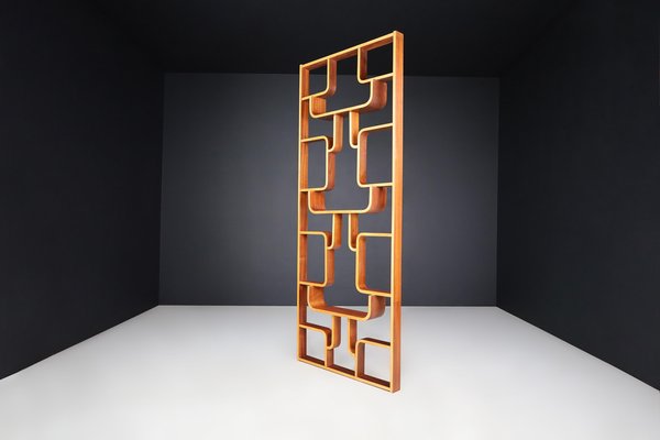 Mid-Century Room Divider by Ludvik Volak for Drevopodnik Holesov, 1960s-TRW-1750691