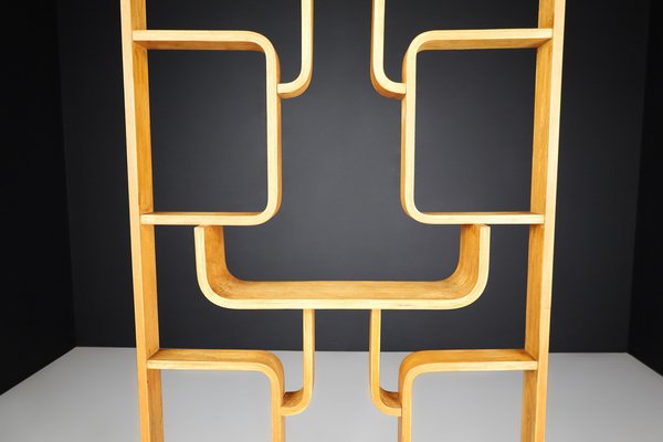 Mid-Century Room Divider by Ludvik Volak for Drevopodnik Holesov, 1960s-TRW-1750693