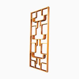 Mid-Century Room Divider by Ludvik Volak for Drevopodnik Holesov, 1960s-TRW-1750691