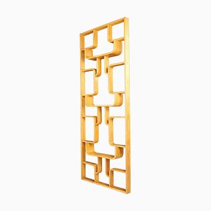 Mid-Century Room Divider by Ludvik Volak for Drevopodnik Holesov, 1960s-TRW-1750693