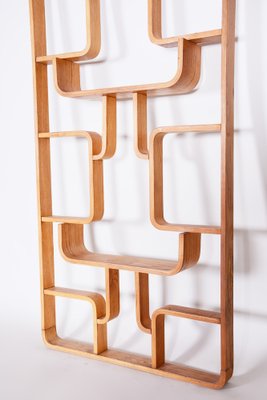 Mid-Century Room Divider in Ash attributed to Ludvik Volak for Drevopodnik Holesov, Former Czechoslovakia, 1960s-WHY-1768694