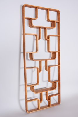 Mid-Century Room Divider in Ash attributed to Ludvik Volak for Drevopodnik Holesov, Former Czechoslovakia, 1960s-WHY-1768694