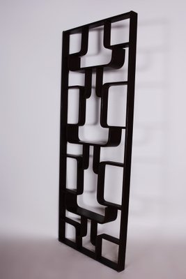 Mid-Century Room Divider in Dark Brown Oak attributed to Ludvik Volak for Drevopodnik Holesov, Former Czechoslovakia, 1960s-WHY-1768696