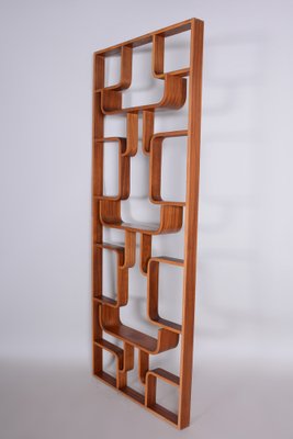 Mid-Century Room Divider in Mahogany attributed to Ludvik Volak for Drevopodnik Holesov, Former Czechoslovakia, 1960s-WHY-1768698