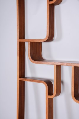 Mid-Century Room Divider in Mahogany attributed to Ludvik Volak for Drevopodnik Holesov, Former Czechoslovakia, 1960s-WHY-1768698