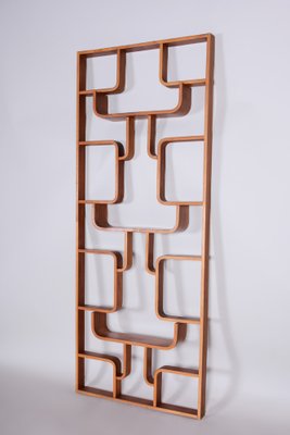 Mid-Century Room Divider in Mahogany attributed to Ludvik Volak for Drevopodnik Holesov, Former Czechoslovakia, 1960s-WHY-1768698