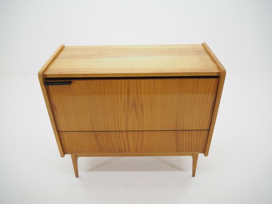 Mid-Century Storage Cabinet, Czechoslovakia, 1960s-TZ-820582