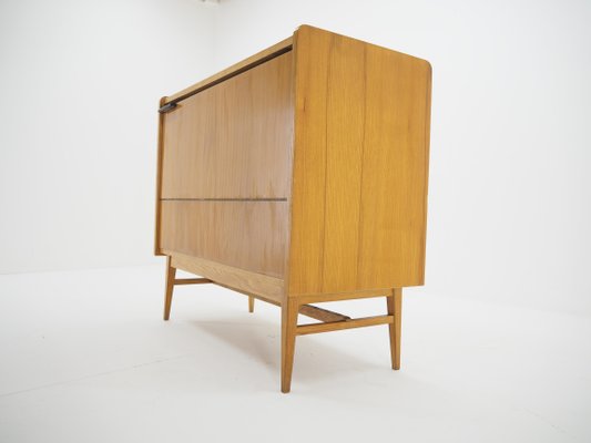 Mid-Century Storage Cabinet, Czechoslovakia, 1960s-TZ-820582