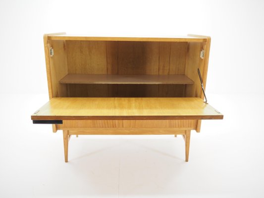 Mid-Century Storage Cabinet, Czechoslovakia, 1960s-TZ-820582