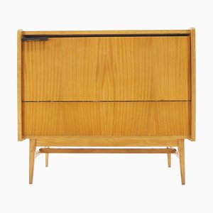 Mid-Century Storage Cabinet, Czechoslovakia, 1960s-TZ-820582