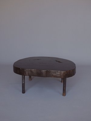 Mid-Century Tree Trunk Coffee Table, 1950s-MB-1421722