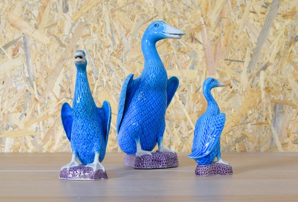 Mid-Century Turquoise Ducks in Chinese Porcelain, 1950s, Set of 3-IJF-1751968