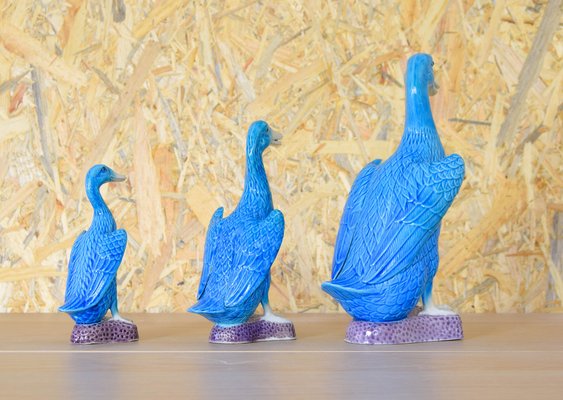 Mid-Century Turquoise Ducks in Chinese Porcelain, 1950s, Set of 3-IJF-1751968