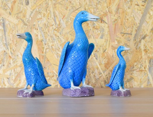 Mid-Century Turquoise Ducks in Chinese Porcelain, 1950s, Set of 3-IJF-1751968