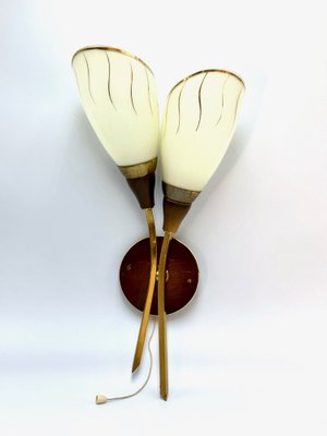 Mid-Century Wall Lamp in Brass and Wood, 1950s-ZCY-1769161