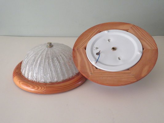 Mid-Century Wall Lamps or Ceiling Lamps from Massive Belgium, 1960, Set of 2-UKG-1248728