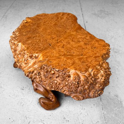 Mid-Century Yakusugi (Yakusugi) Burl Wood Plant Stand, Japan, 1940s-DWL-1700541