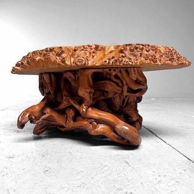 Mid-Century Yakusugi (Yakusugi) Burl Wood Plant Stand, Japan, 1940s-DWL-1700541