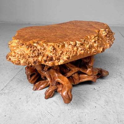 Mid-Century Yakusugi (Yakusugi) Burl Wood Plant Stand, Japan, 1940s-DWL-1700541