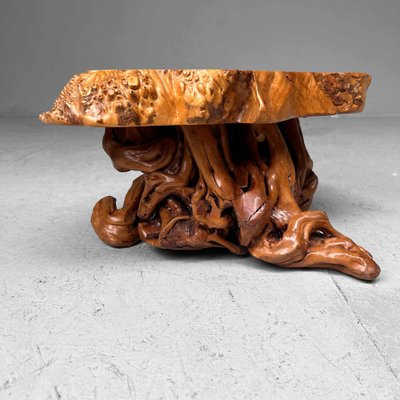 Mid-Century Yakusugi (Yakusugi) Burl Wood Plant Stand, Japan, 1940s-DWL-1700541