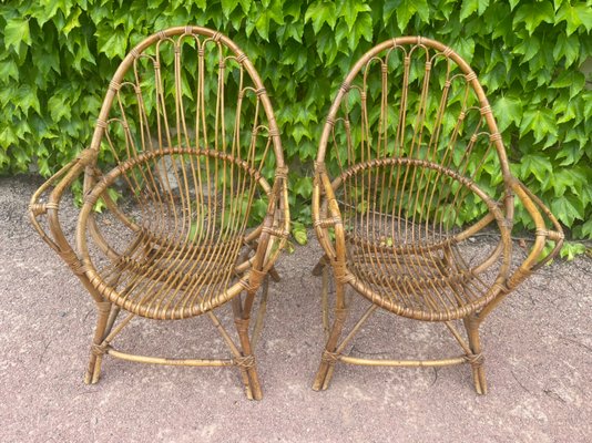 Midcentury Rattan Armchairs, Netherlands, 1950s, Set of 2-SDV-1330583