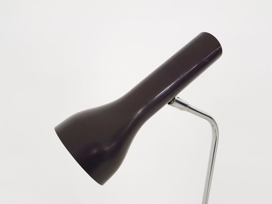 Minimalistic Brown Floor Lamp, 1960s-ZO-623858