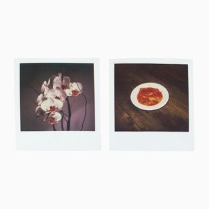 Miquel Arnal, Polaroid Photographs, Set of 2-WM-1157912