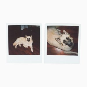 Miquel Arnal, Polaroid Photographs, Set of 2-WM-1157208