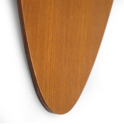 Mirror with Curved Plywood Frame, 1960s-EZ-1752570