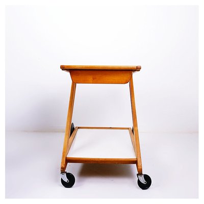 Mobilo PE03 Serving Trolley attributed to Cees Braakman for Pastoe, 1950s-JG-1776763