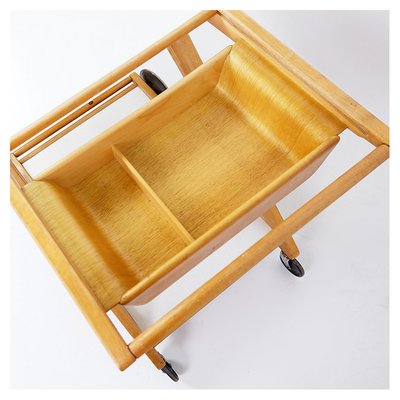 Mobilo PE03 Serving Trolley attributed to Cees Braakman for Pastoe, 1950s-JG-1776763