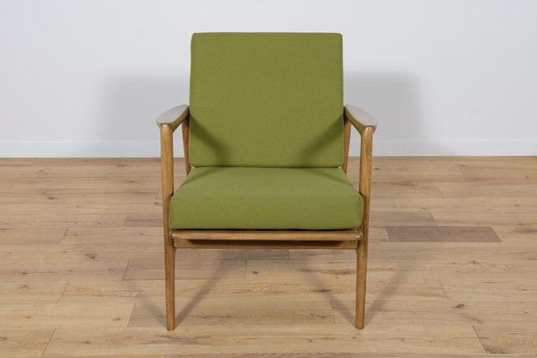 Model 300-139 Armchair from Swarzędz Factory, 1960s-NIT-1786305