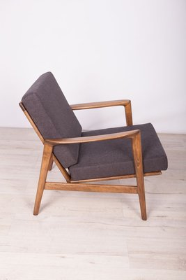 Model 300-139 Armchair from Swarzędzka Factory, 1960s-NIT-801699