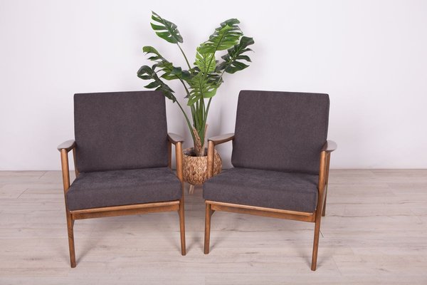 Model 300-139 Armchairs from Swarzędzka Furniture Factory, 1960s, Set of 2-NIT-831801