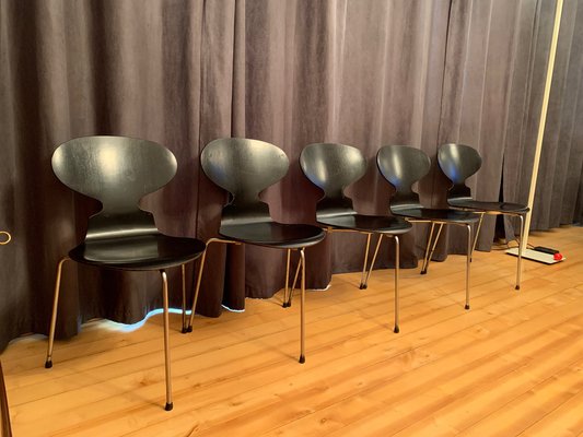 Model 3100 Chairs by Arne Jacobsen, Fritz Hansen, Denmark, 1963, Set of 5-VQM-1396405