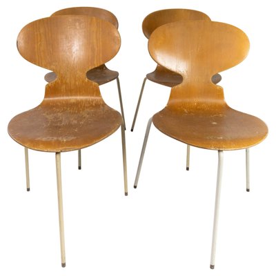 Model 3101 Ant Chairs in Light Wood by Arne Jacobsen for Fritz Hansen, 1950s, Set of 4-UY-952728