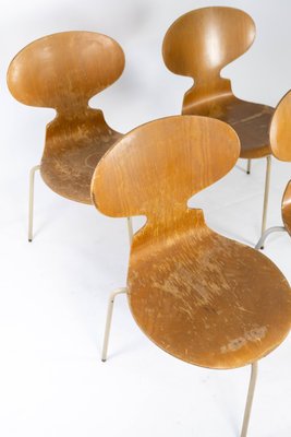 Model 3101 Ant Chairs in Light Wood by Arne Jacobsen for Fritz Hansen, 1950s, Set of 4-UY-952728