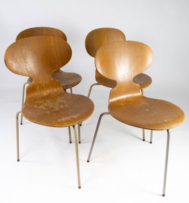 Model 3101 Ant Chairs in Light Wood by Arne Jacobsen for Fritz Hansen, 1950s, Set of 4-UY-952728