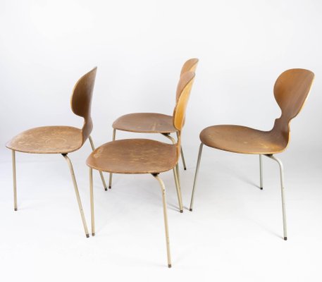 Model 3101 Ant Chairs in Light Wood by Arne Jacobsen for Fritz Hansen, 1950s, Set of 4-UY-952728