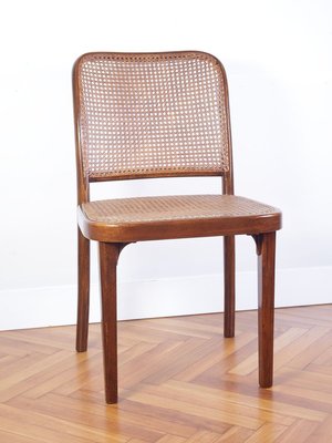 Model A 811 Chair by Josef Hoffmann or Josef Frank for Thonet, 1920s-IND-902764